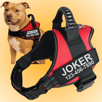 Custom No-Pull Dog Harness – Adjustable, Premium Quality for Small & Large Dogs