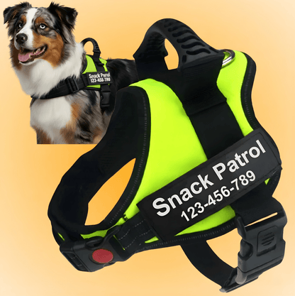 Custom No-Pull Dog Harness – Adjustable, Premium Quality for Small & Large Dogs