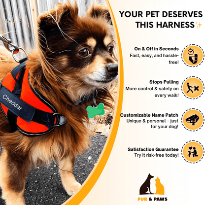 Custom No-Pull Dog Harness – Adjustable, Premium Quality for Small & Large Dogs
