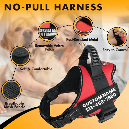 Custom No-Pull Dog Harness – Adjustable, Premium Quality for Small & Large Dogs