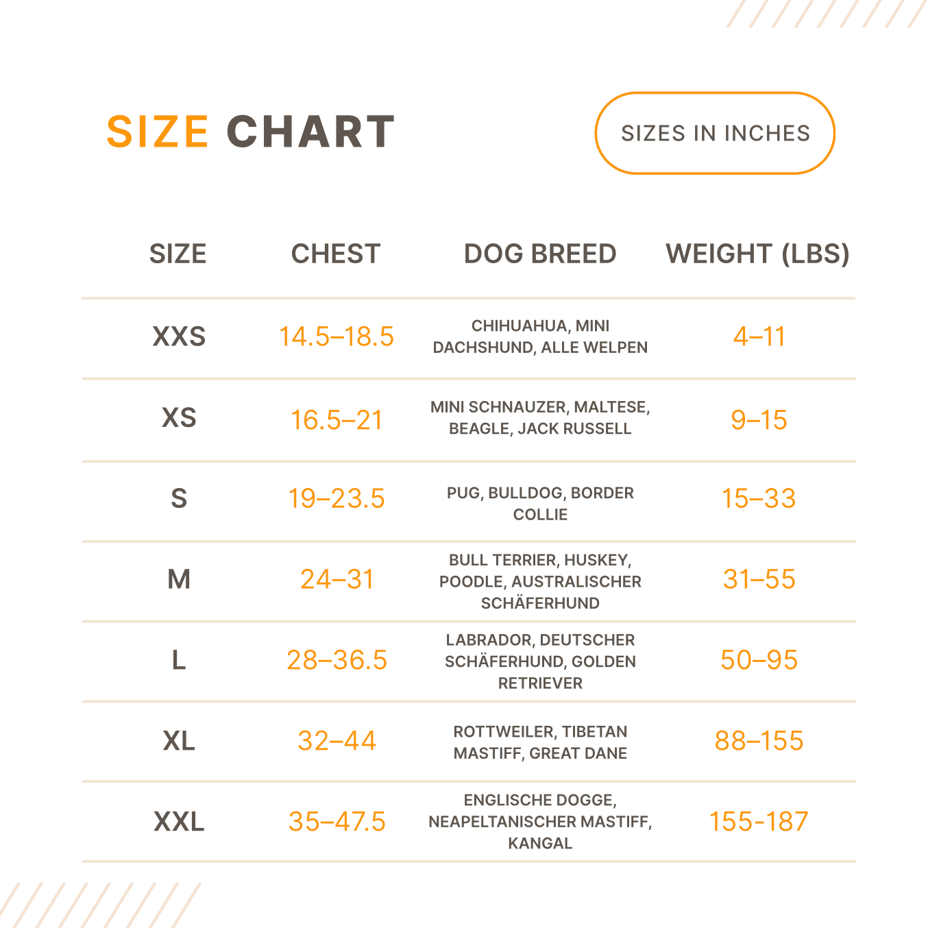 Custom No-Pull Dog Harness – Adjustable, Premium Quality for Small & Large Dogs