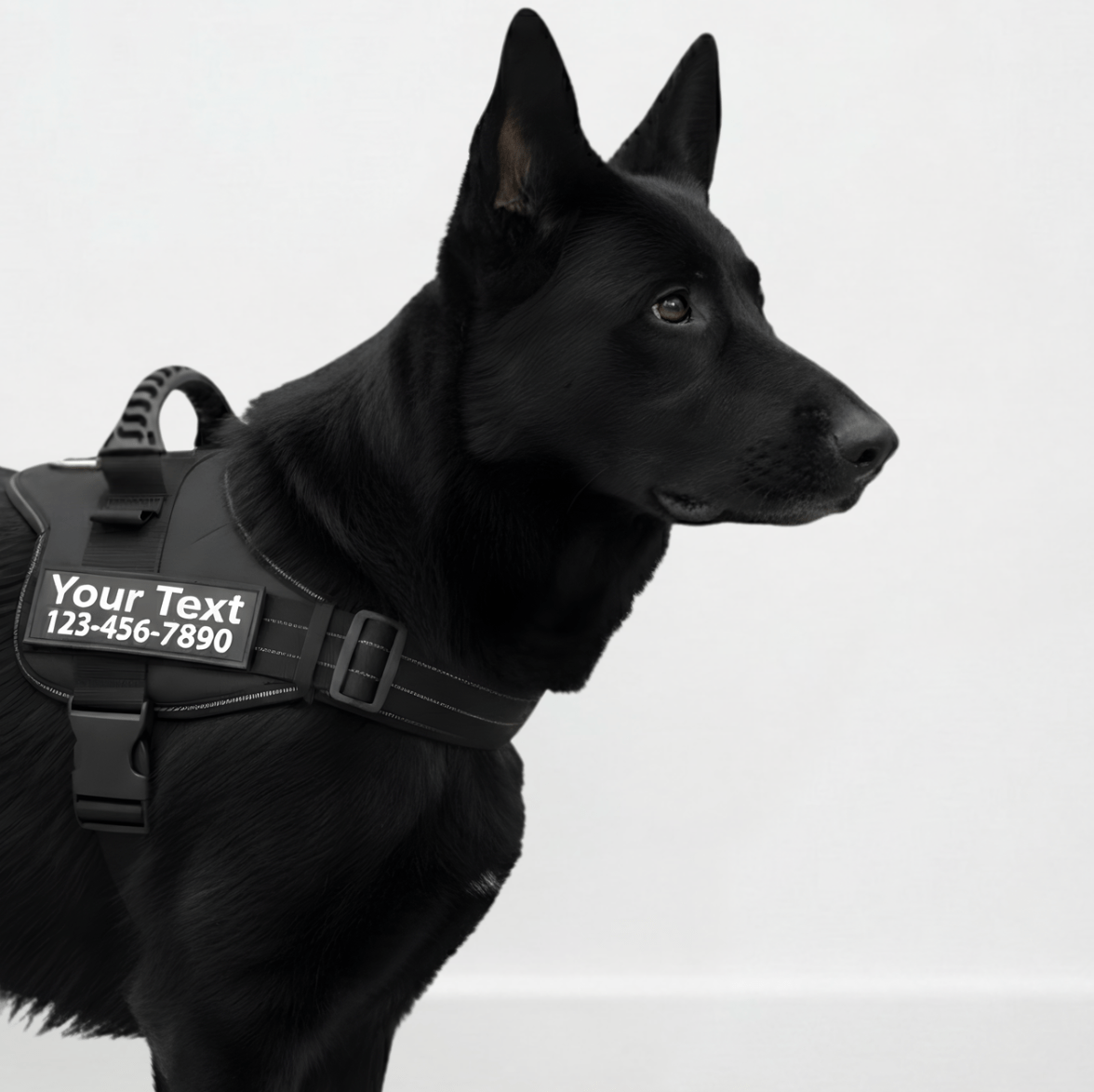 Custom No-Pull Dog Harness – Adjustable, Premium Quality for Small & Large Dogs