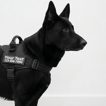 Custom No-Pull Dog Harness – Adjustable, Premium Quality for Small & Large Dogs